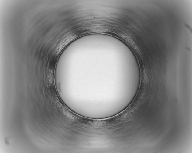 X0000102260889200808151838