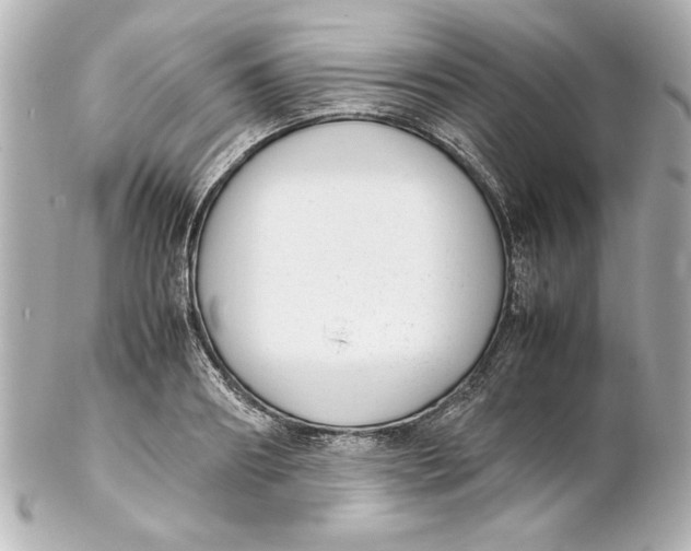 X0000102260890200808151838