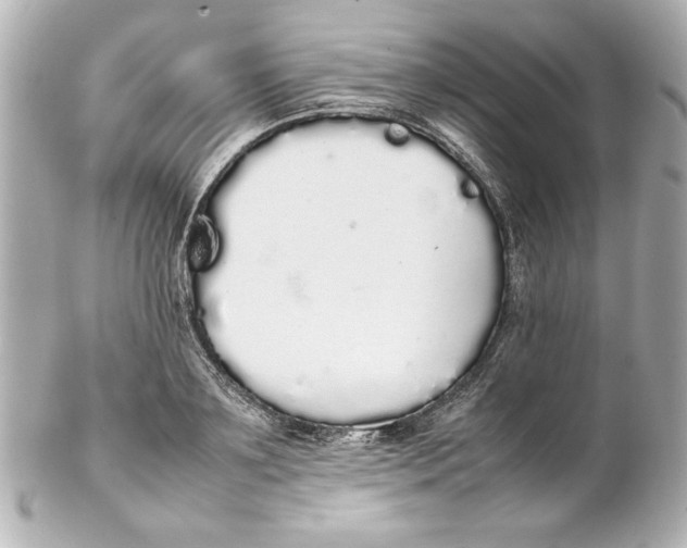 X0000102260891200808151838