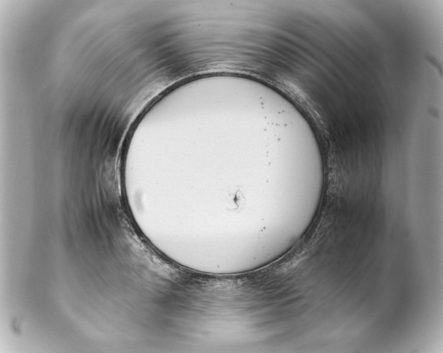 X0000102260892200808151838