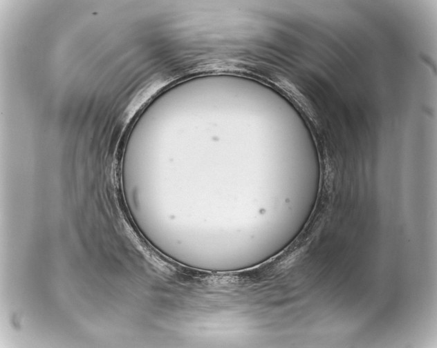 X0000102260893200808151838