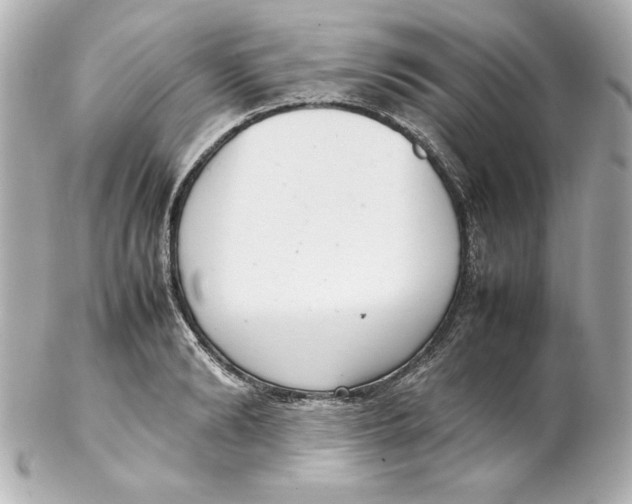 X0000102260894200808151838