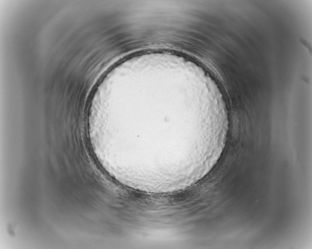 X0000102260895200808151838