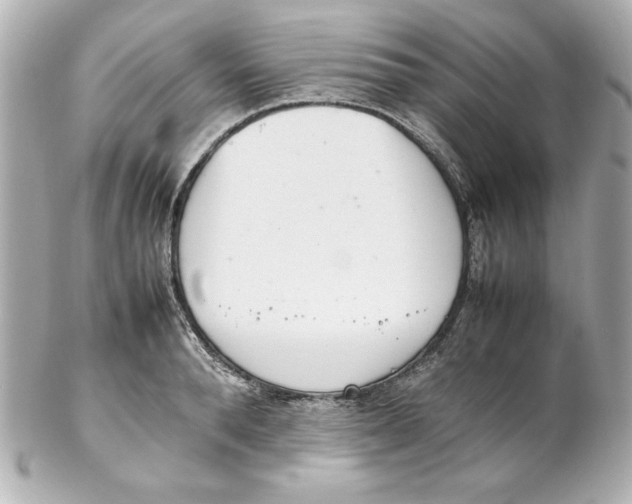 X0000102260896200808151838