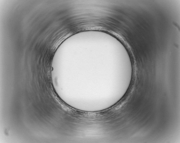 X0000102260897200808151838