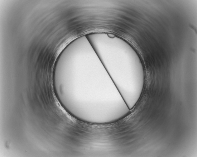 X0000102260898200808151838