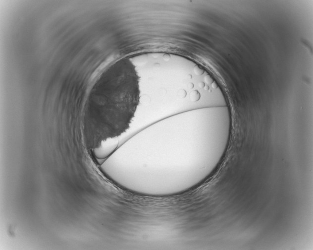 X0000102260899200808151838