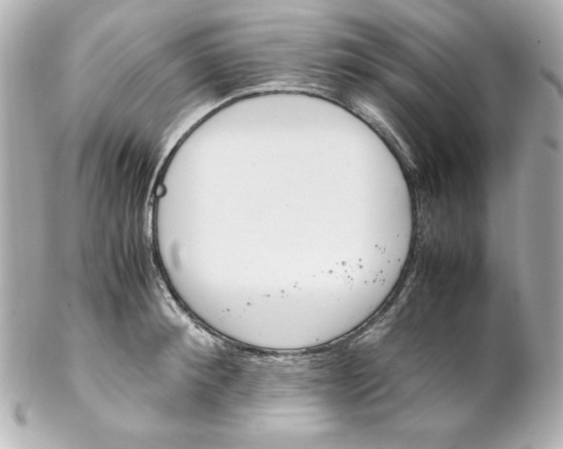 X0000102260900200808151838