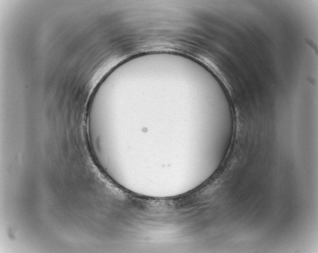 X0000102260901200808151838