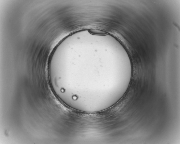 X0000102260902200808151838