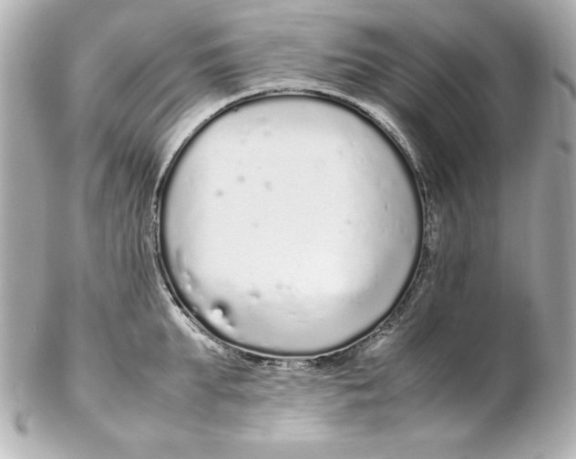 X0000102260903200808151838