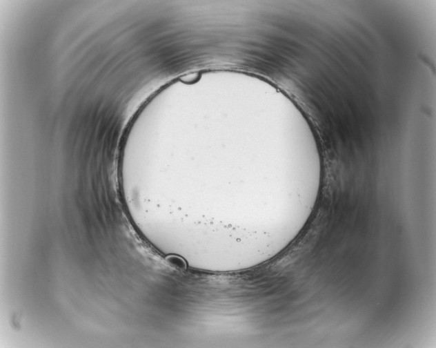 X0000102260904200808151838