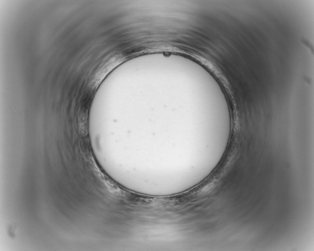 X0000102260905200808151838