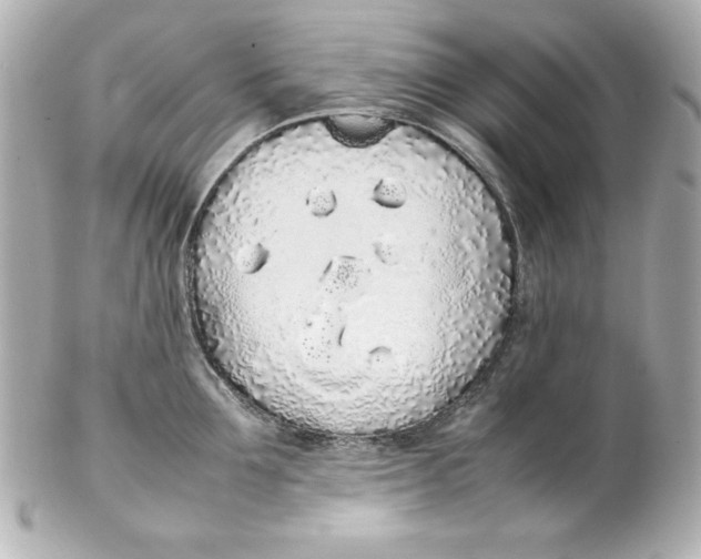 X0000102260907200808151838