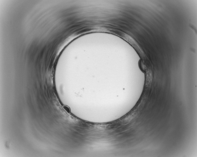 X0000102260908200808151838