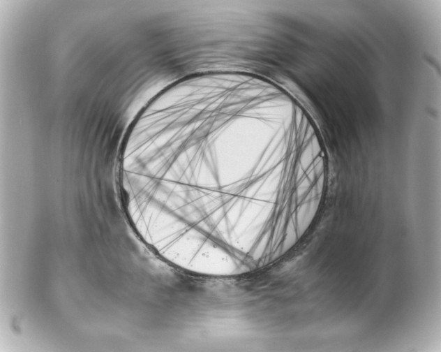 X0000102260909200808151838