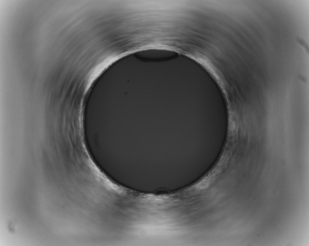 X0000102260910200808151838