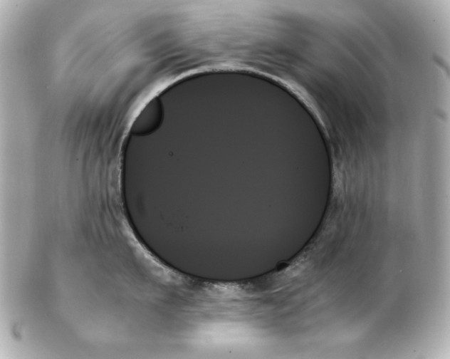 X0000102260911200808151838