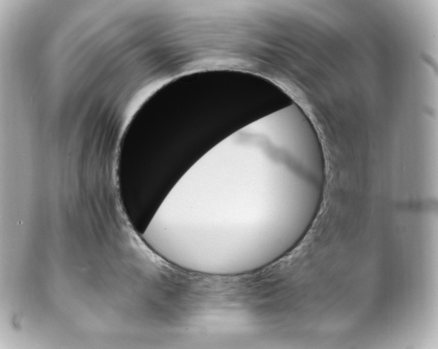 X0000102260912200808151838