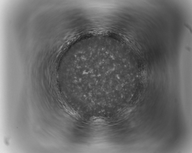 X0000102260913200808151837