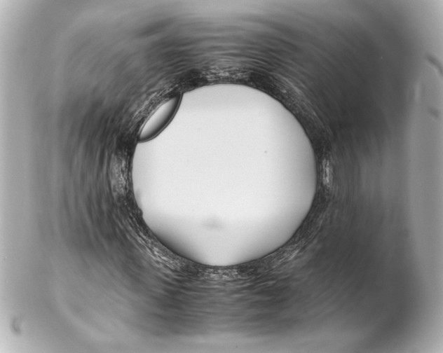 X0000102260915200808151837