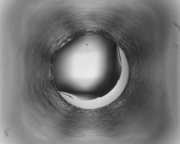 X0000102260916200808151837