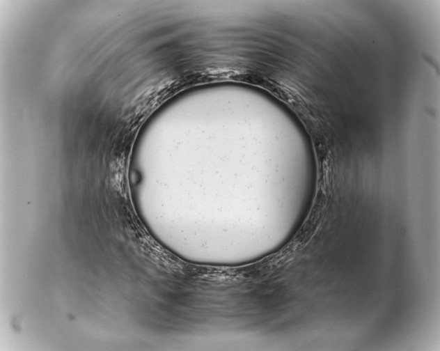 X0000102260917200808151837