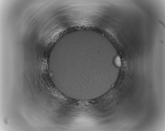 X0000102260918200808151837