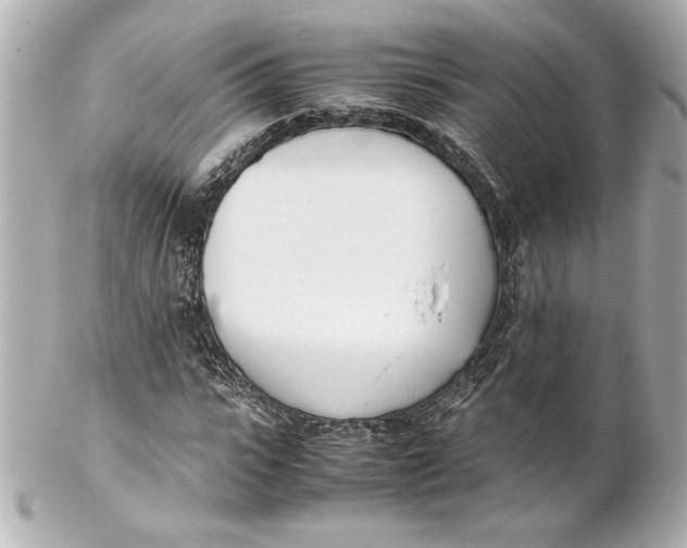 X0000102260919200808151837