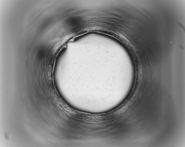 X0000102260921200808151837