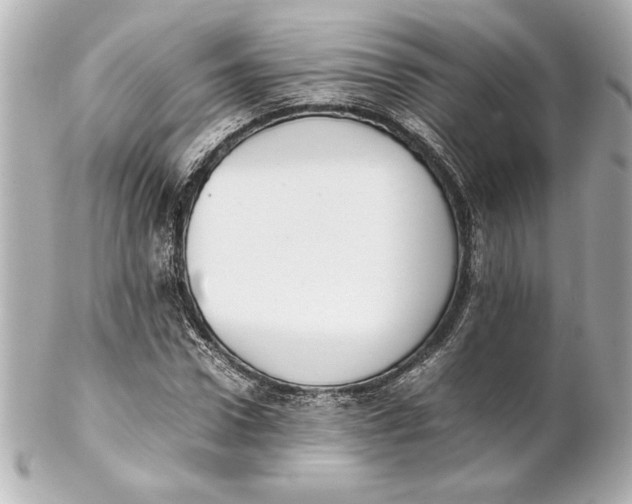 X0000102260922200808151837