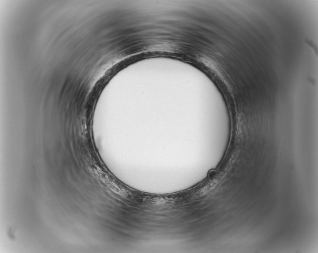 X0000102260923200808151837