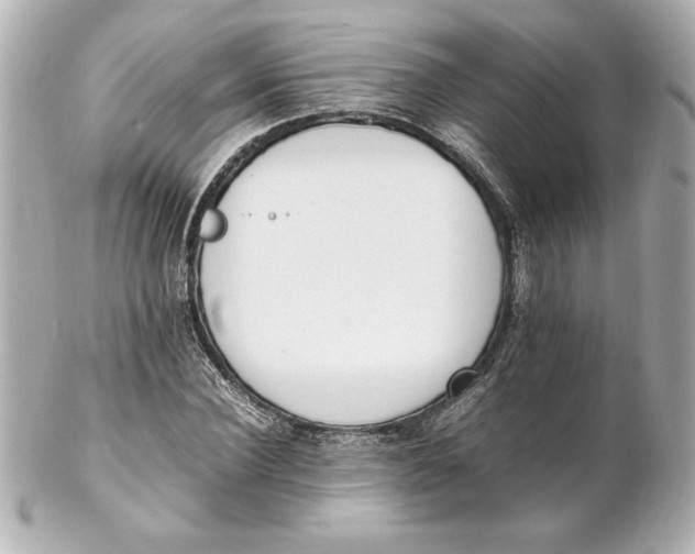 X0000102260924200808151837