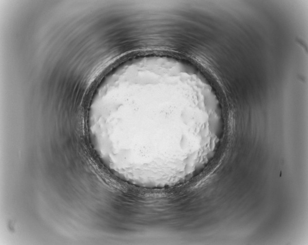 X0000102260925200808151837