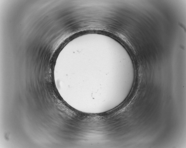 X0000102260926200808151837