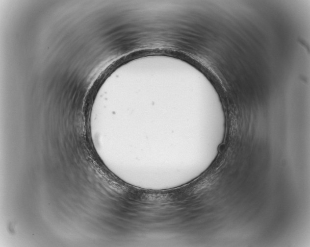 X0000102260927200808151837