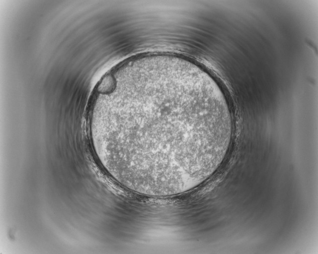 X0000102260928200808151837