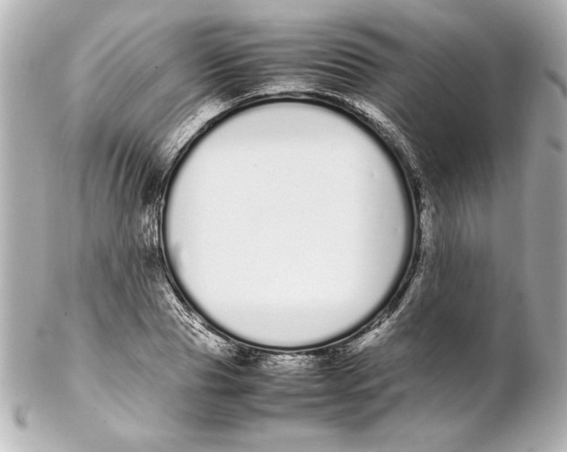 X0000102260929200808151837