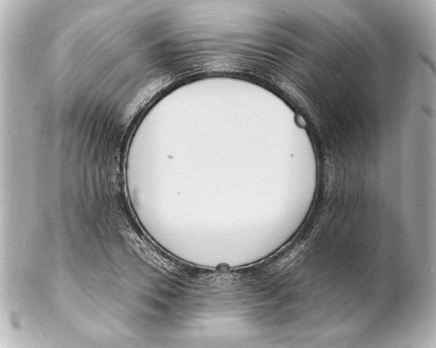 X0000102260930200808151837