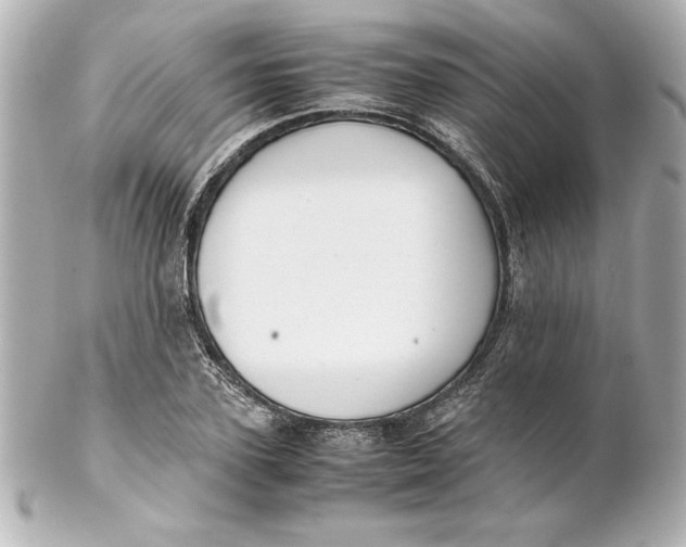 X0000102260931200808151837