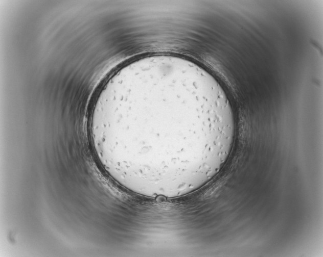 X0000102260932200808151837