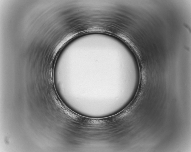 X0000102260933200808151837