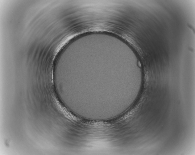 X0000102260934200808151837