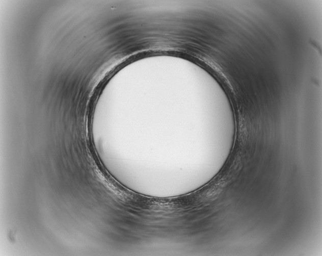 X0000102260935200808151837