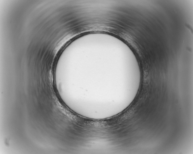 X0000102260936200808151837