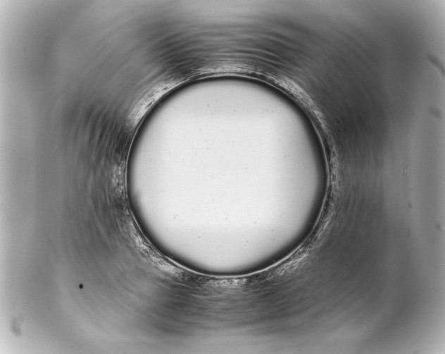 X0000102260937200808151837