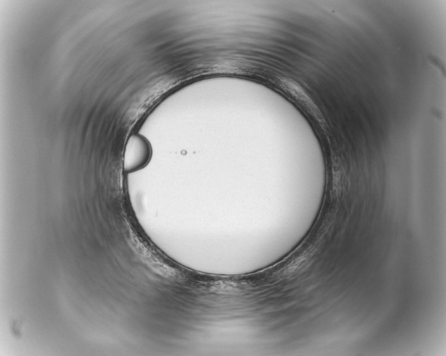 X0000102260938200808151837