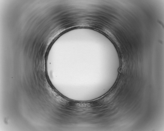 X0000102260939200808151837