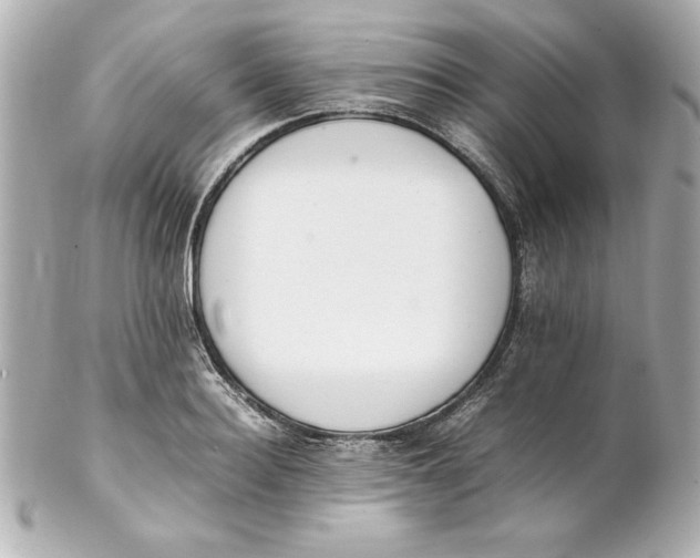 X0000102260940200808151837