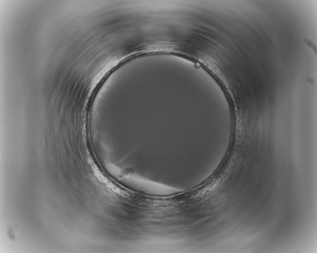 X0000102260941200808151837